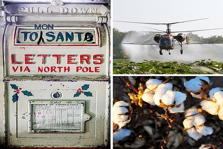 Regulator gets 8,000 letters about Monsanto product