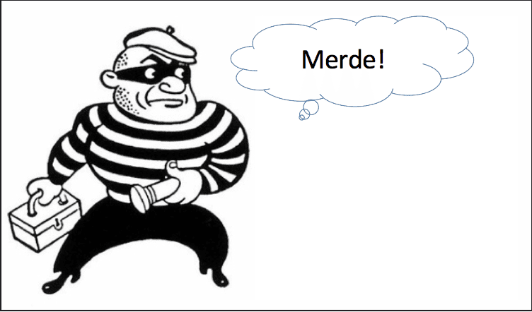 World’s dumbest thieves try to rob bank in ‘high alert’ France. The public’s reaction is priceless (TWEETS)
