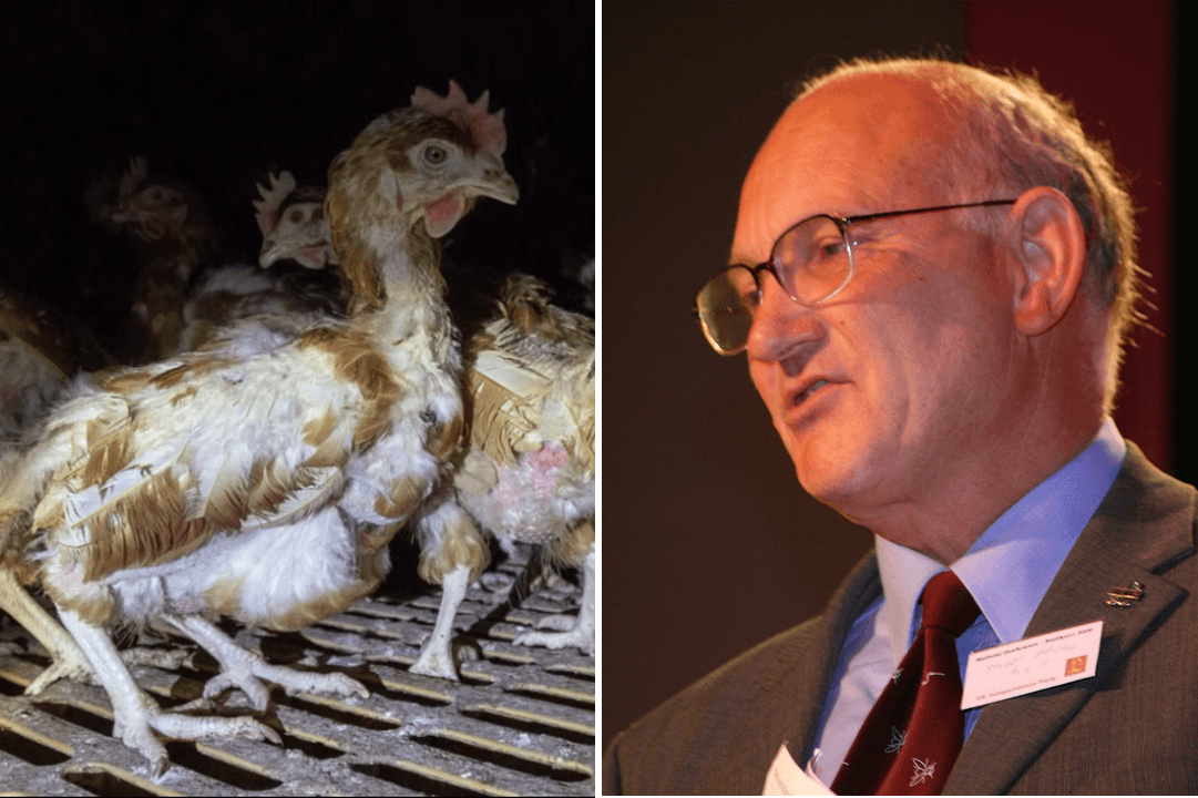 UKIP’s agriculture spokesman will want to bury this video