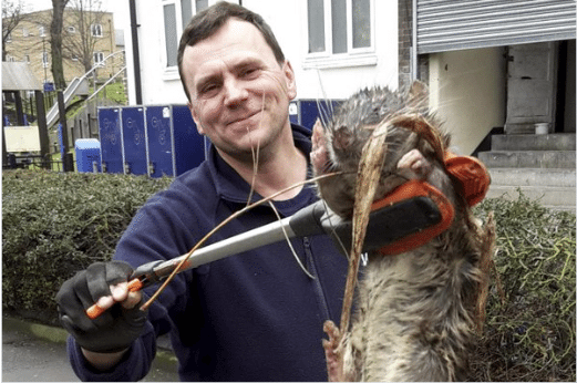 A right-wing media scare story just got destroyed by local council workers (VIDEO)