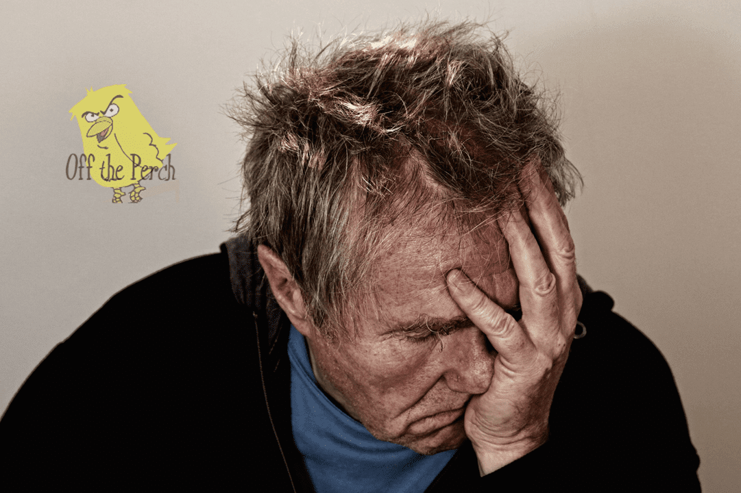 EU Referendum abandoned due to waterlogged pitch