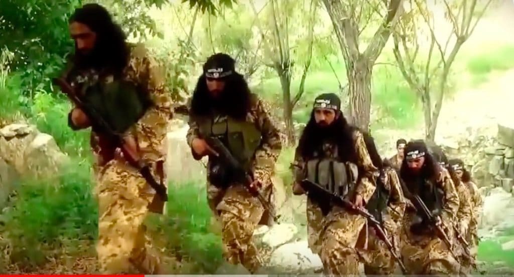 US military needs Afghan terrorists to defeat Daesh