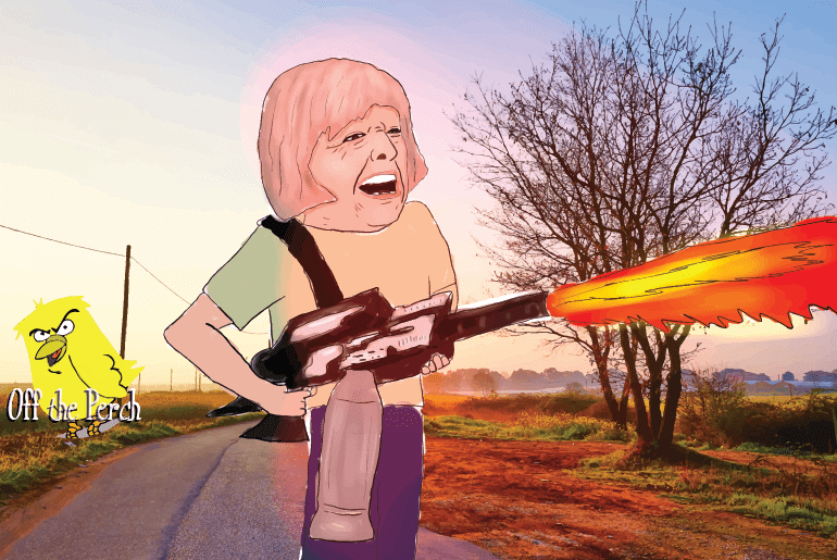 Tories unveil plan to tackle the environment