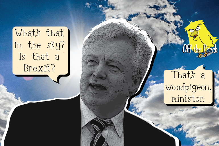 “So what do you think Brexit is?” the Minister for Brexit asks the public