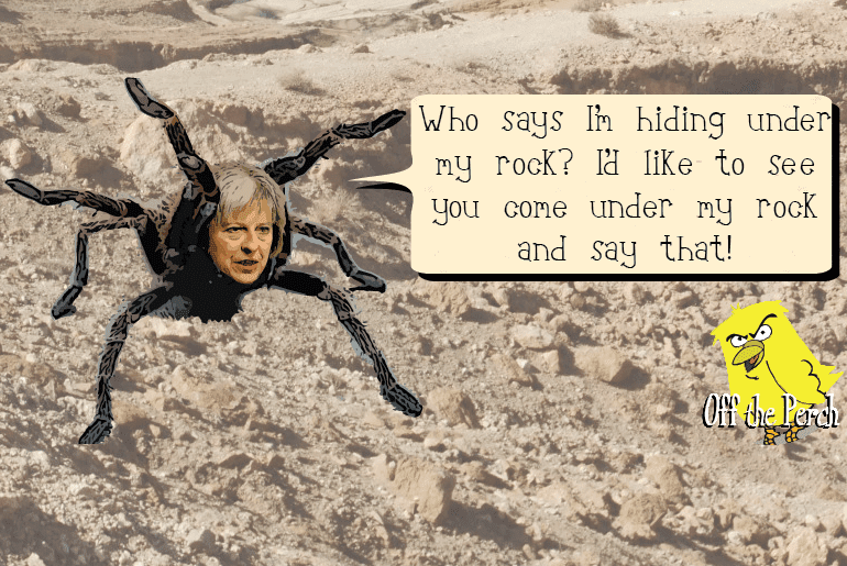 Tarantula May forced to decamp from under her rock to strike at Ken Clarke