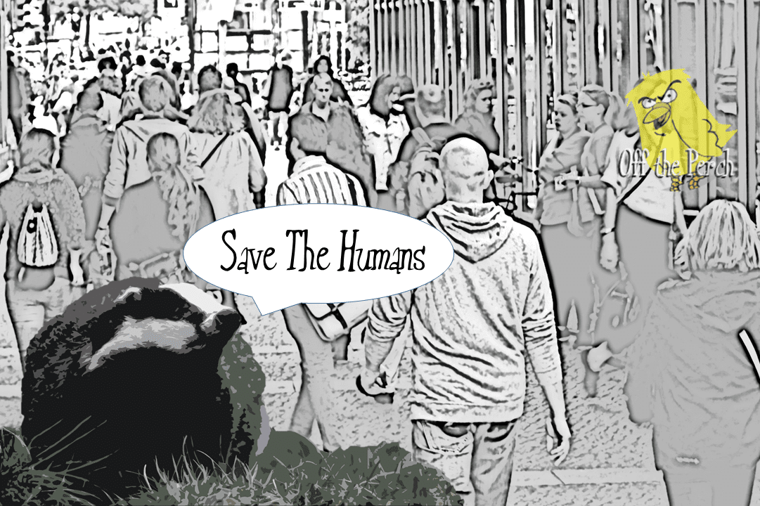 Voter cull urged “to tackle stupidity in politicians”