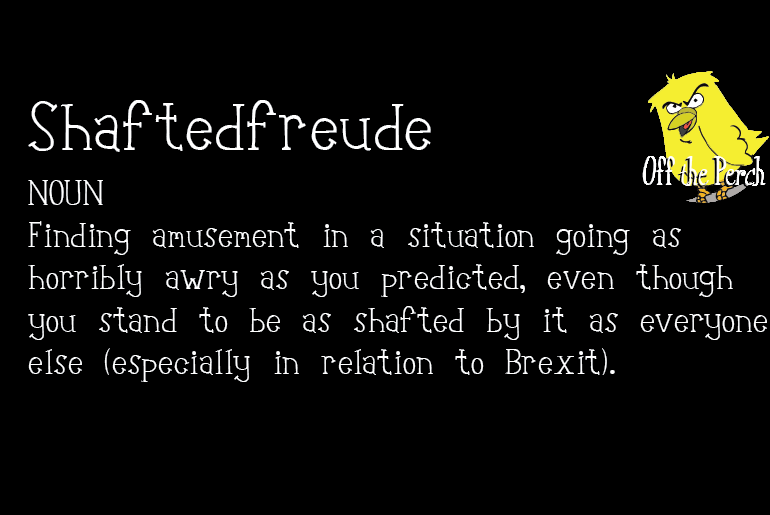 New word ‘shaftedfreude’ describes how Remainers feel about Brexit