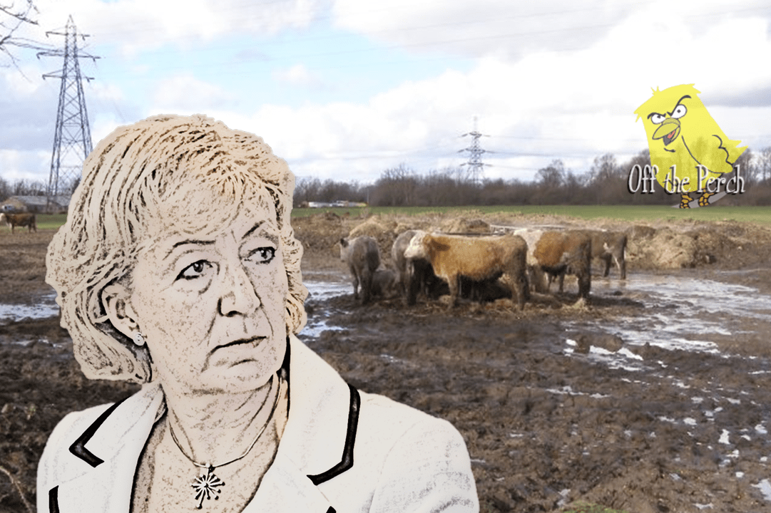 Rather than ‘Hard’ or ‘Soft’, some Tories are opting for ‘Sh*t Brexit’