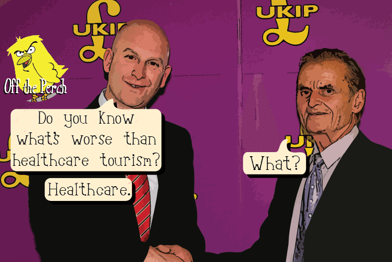 New UKIP leader calls the NHS elitist, PC, health and safety gone mad