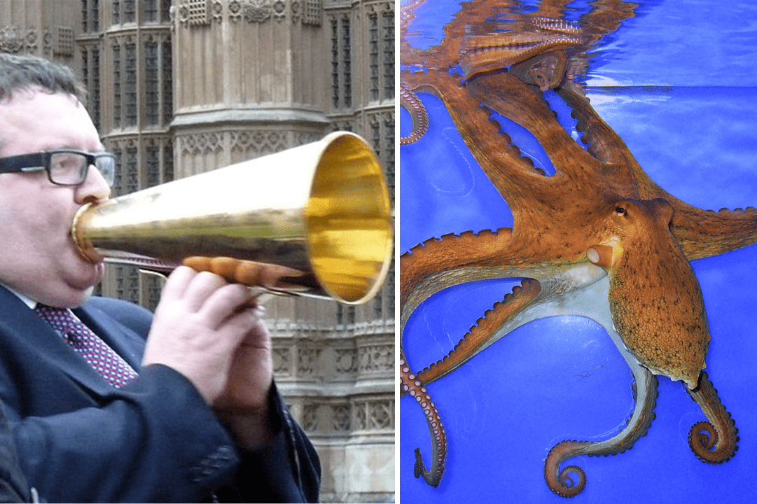 If Tom Watson’s looking for fake news, he could start with ‘Putin’s Killer Octopus’ [OPINION]
