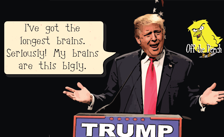 Trump explains how he crafts his ‘bigly smart’ ideas