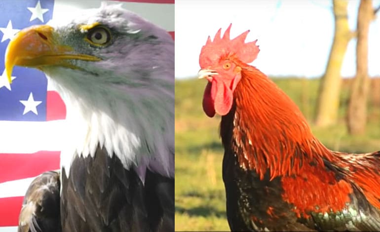 France just trolled Donald Trump, and it’s left us in stitches [VIDEO]