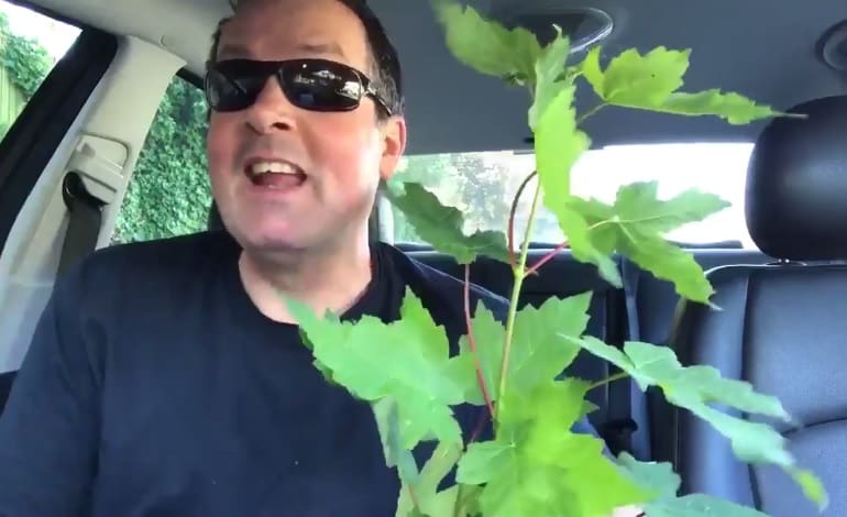 Thousands have watched Britain’s favourite taxi driver take down the Tories in just two glorious minutes [VIDEO]