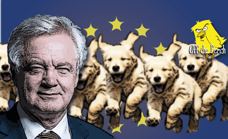 EU talks delayed as Davis claims ‘dog ate my Brexit plan’