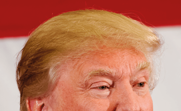 Donald Trump hair
