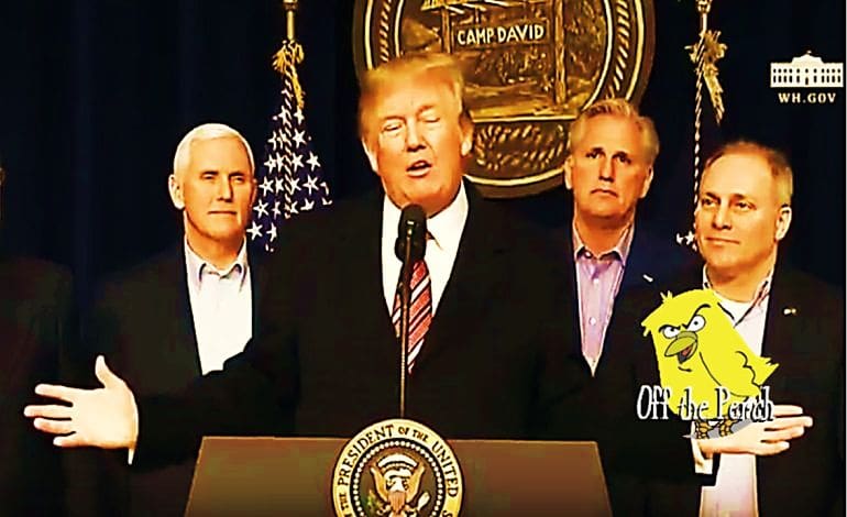 Donald Trump Whites Only OTP