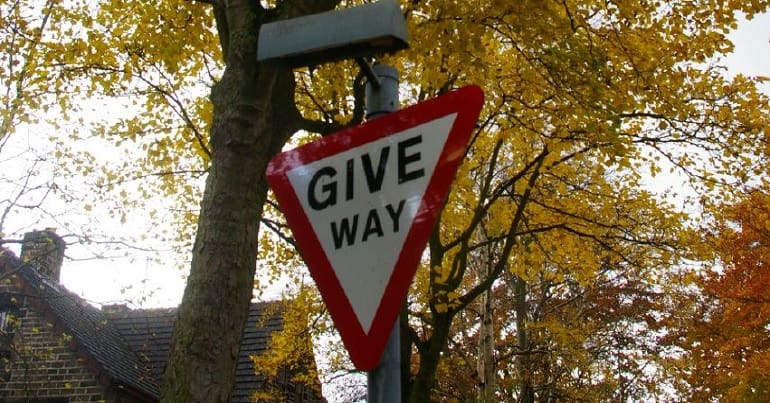 Sheffield trees pause