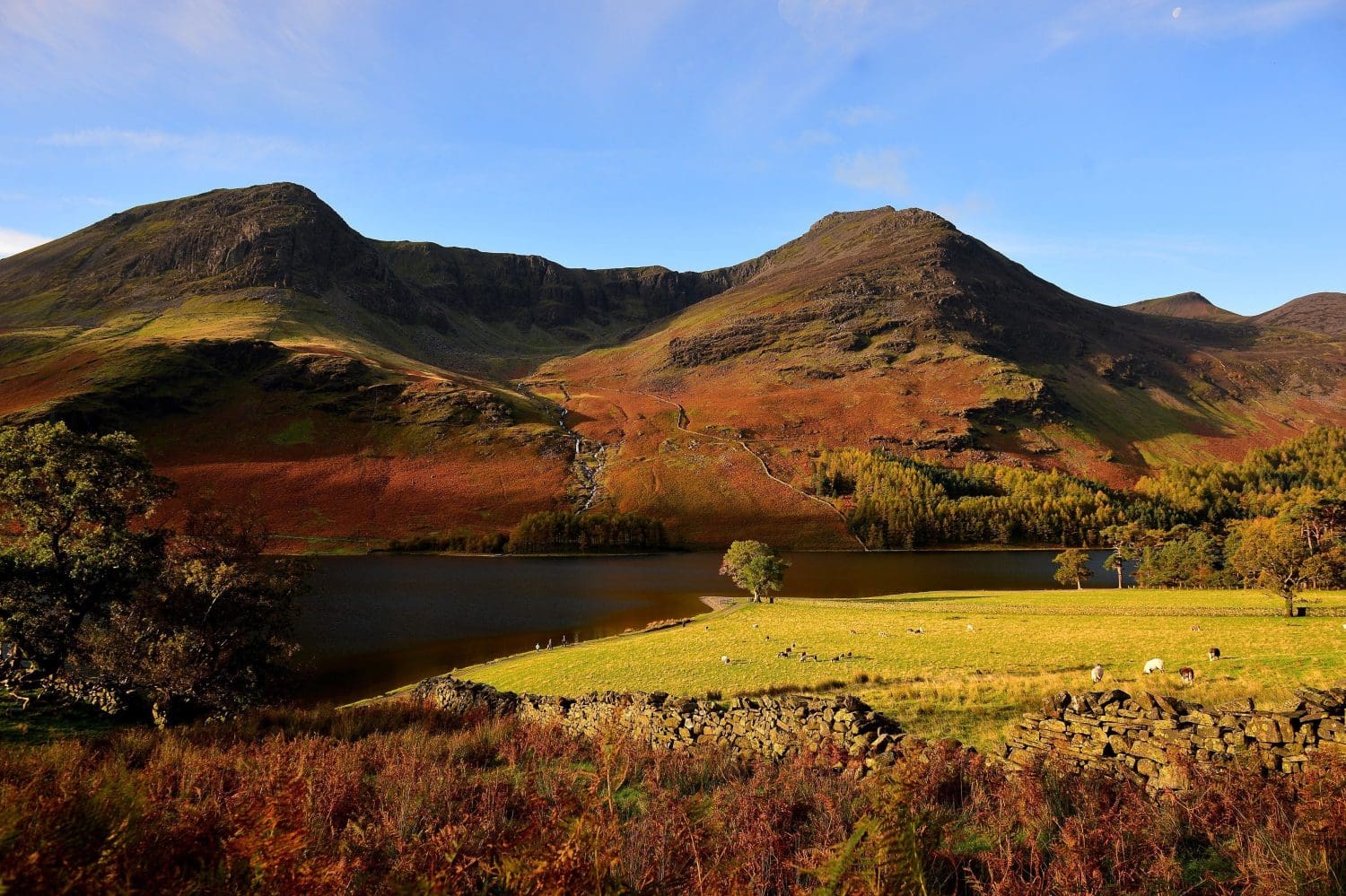 Spending time in nature good for wellbeing, study suggests