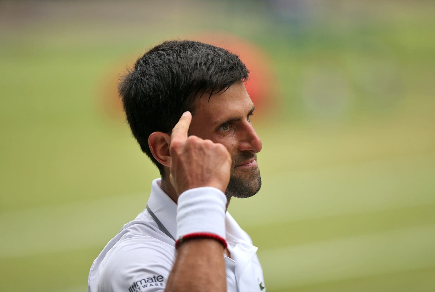 Djokovic says ‘plant-based’ diet helps him to ‘recover well’ and defeat allergies