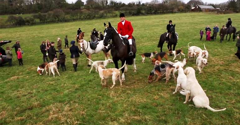 Isle of Wight Hunt