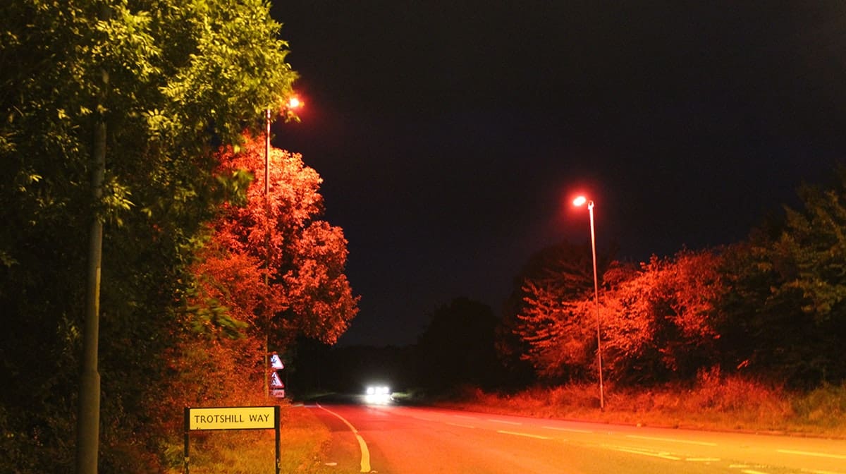 Street lights glow red to help bats cross the road