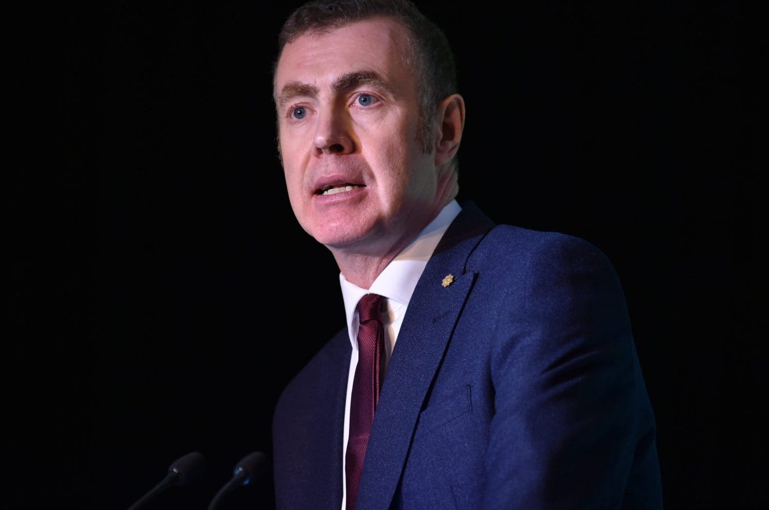 Plaid Cymru promises ‘green jobs revolution’ at manifesto launch