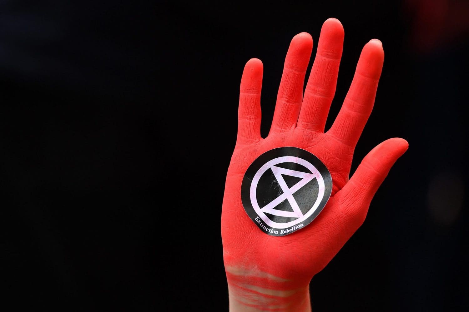 Police criticised for the ‘chilling effect’ of including environmental groups in counter-terror documents