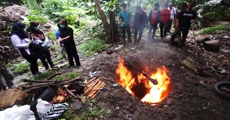 Bats being burnt in a pit in Indonesia