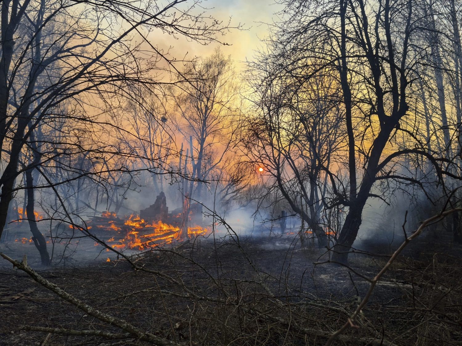 Firefighters work to contain forest fires near Chernobyl nuclear site