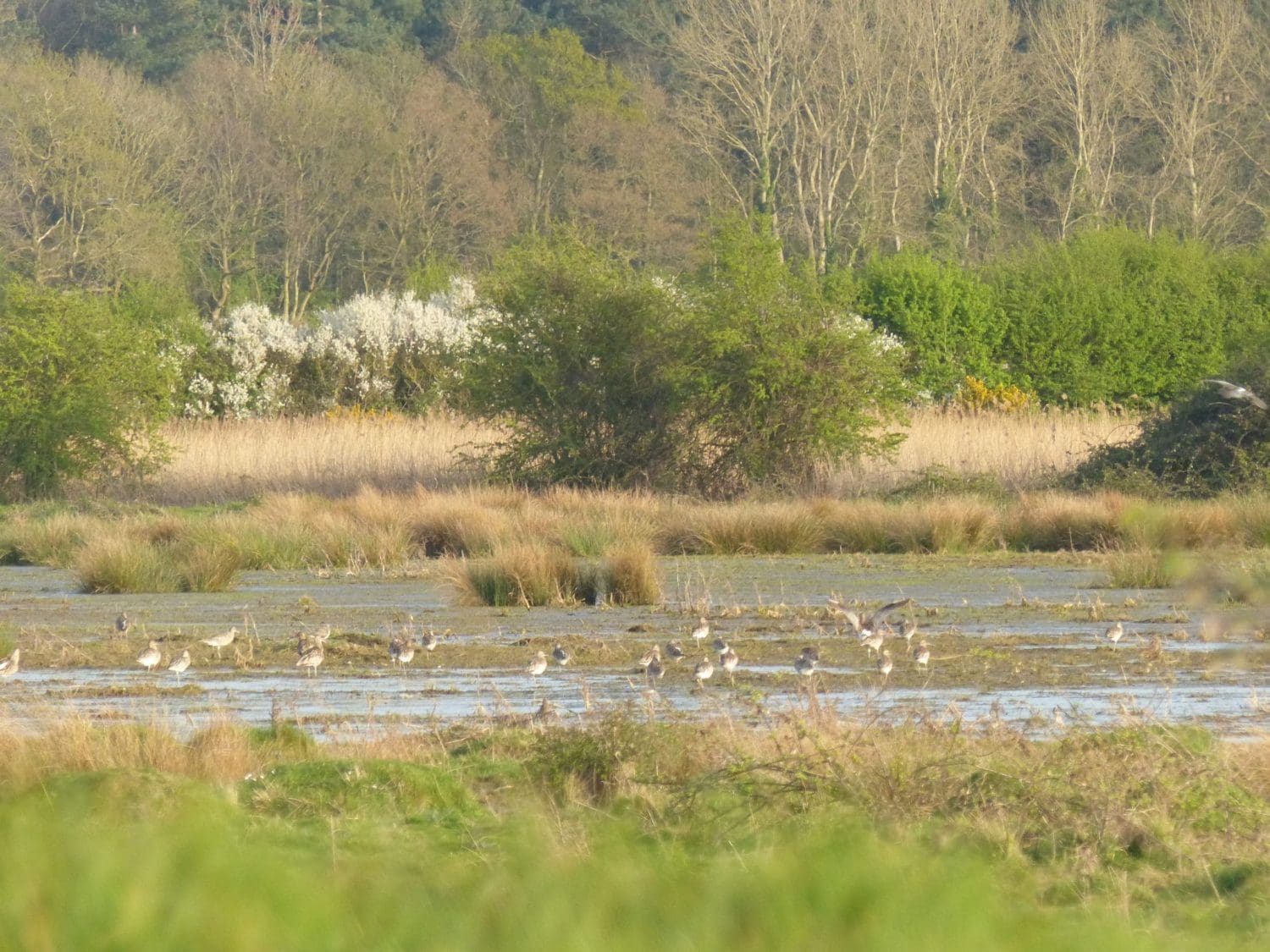 Farm pioneers lead the way with ‘rewilding’ and sustainable agriculture
