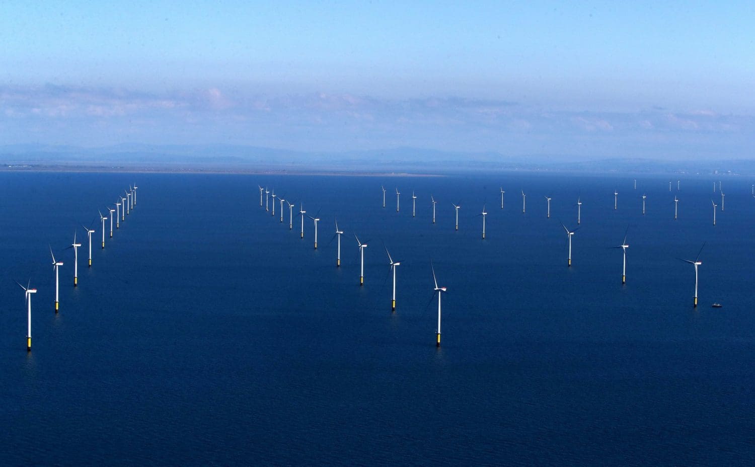 Huge boost to business and jobs worldwide if nature is prioritised says World Economic Forum