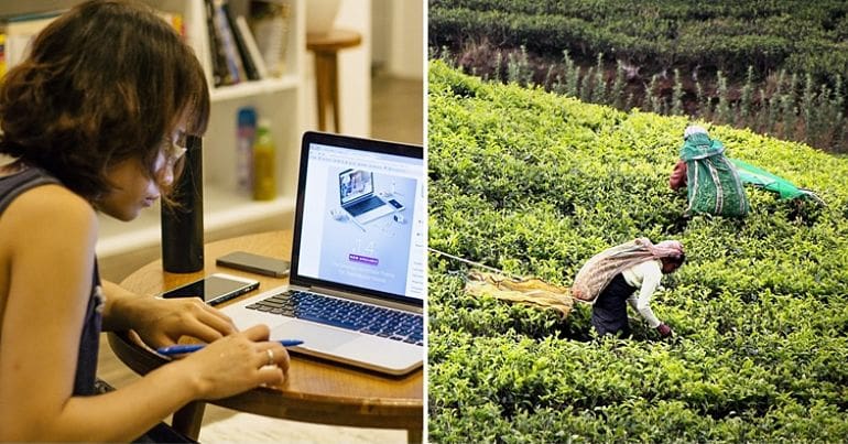 Platform working & tea collecting