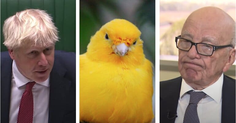 The Canary is about to become an even bigger pain in the establishment’s ass