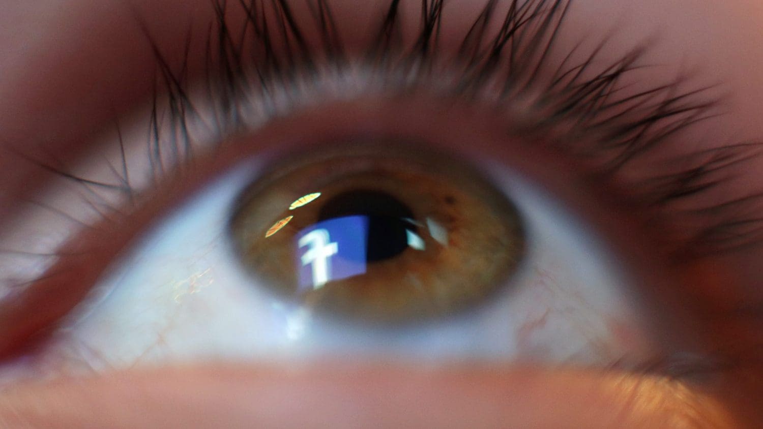 MPs prepare for whistleblower’s revelations on inner workings of Facebook