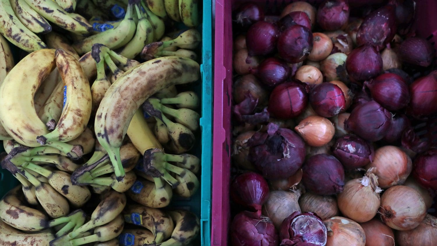 As Universal Credit is cut, independent foodbanks warn they are ‘running out of options’