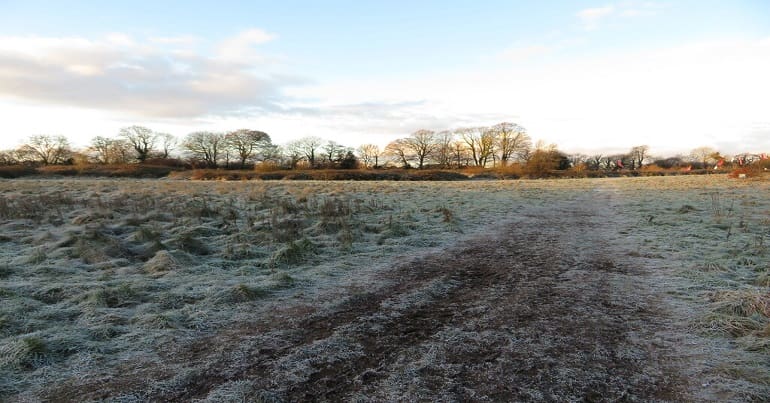 Cardiff's Northern Meadows