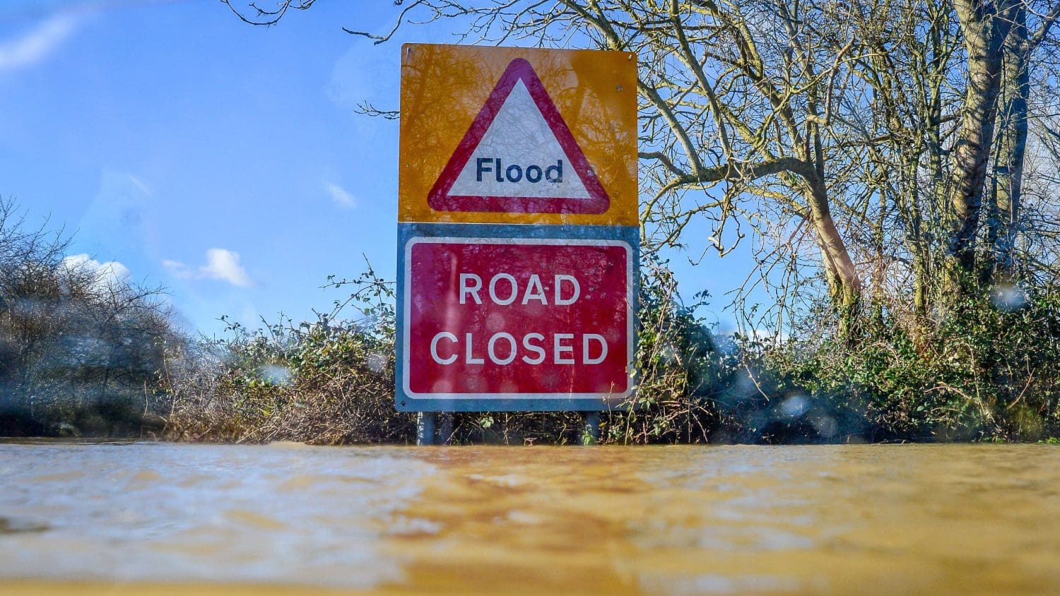 Climate change is disrupting ‘the language of life’ across all types of ecosystems