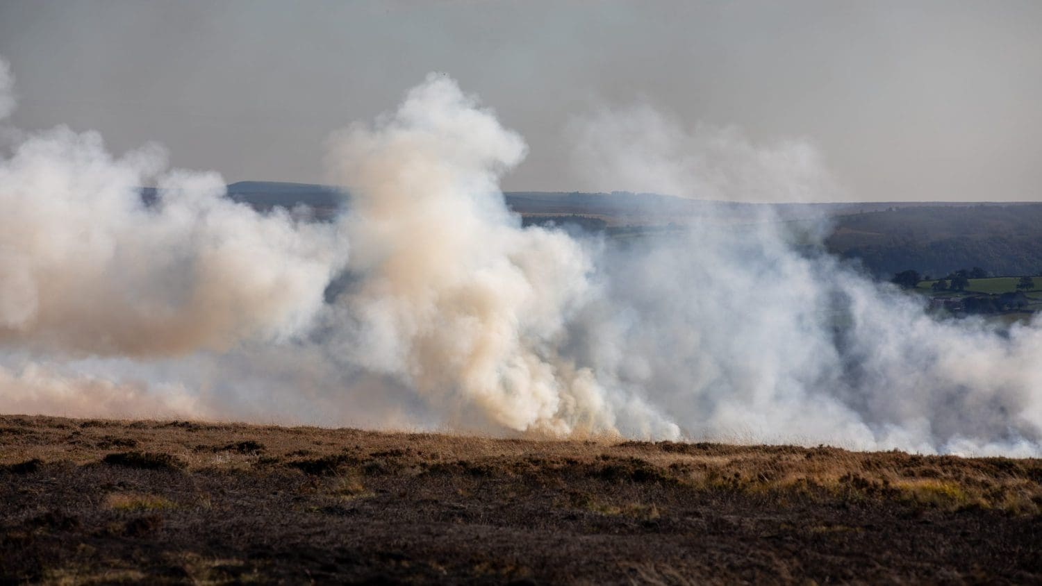 Officials investigate reports of burning protected peat aka England’s ‘rainforests’