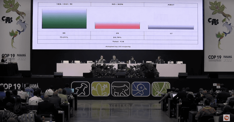 CITES session on shark proposals