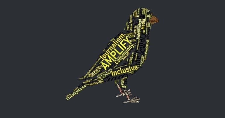 A picture of a Canary as word art for the Amplify programme