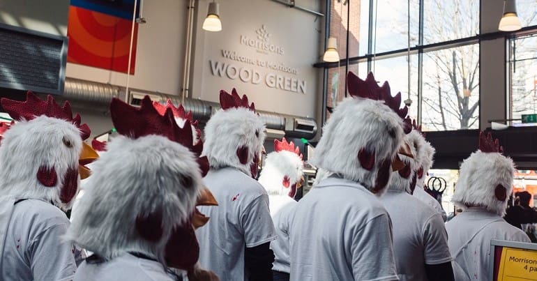 Protesters dressed as chickens mimic battery farm in a Morrisons foyer