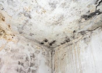 A mouldy damp wall Wales fuel poverty