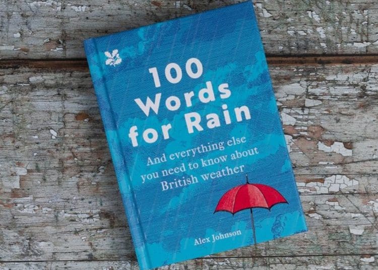 Cover of 100 Words for Rain