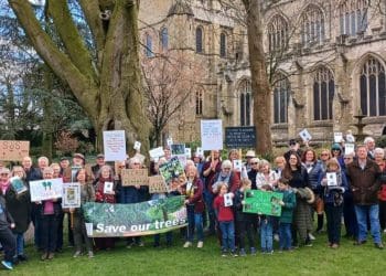 Over a hundred Save the Trees campaigners gather together with placards and banners outside Ripon Cathedral, next to the veteran beech tree.