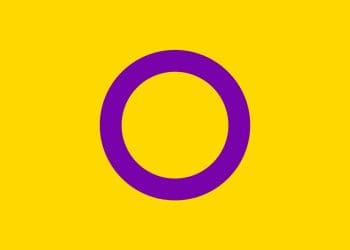 Intersex people pride flag UN resolution