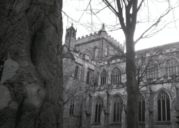 Trees in front of Ripon Cathedral.