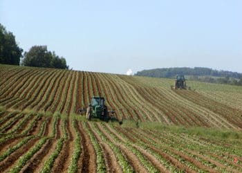 EU agricultural reform Common Agricultural Policy