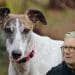 A greyhound and Starmer Labour general election