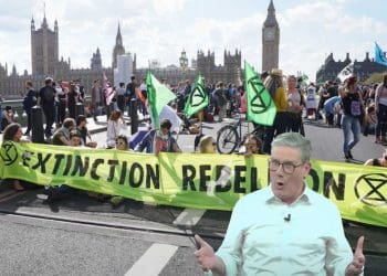 Extinction Rebellion general election