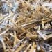 Why regular shredding is important for businesses